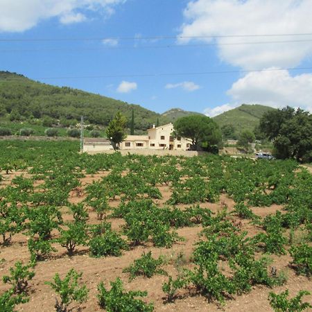 Casa Rural Cal Marti El Pla de Manlleu 외부 사진