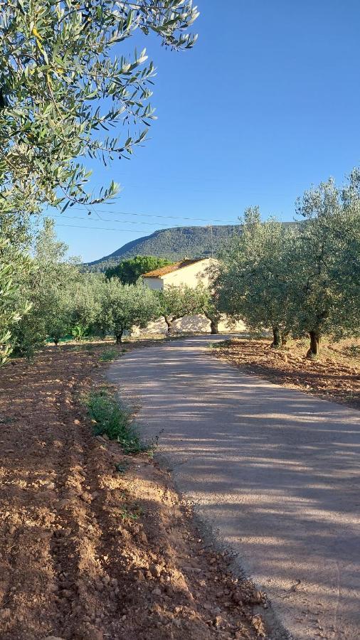 Casa Rural Cal Marti El Pla de Manlleu 외부 사진