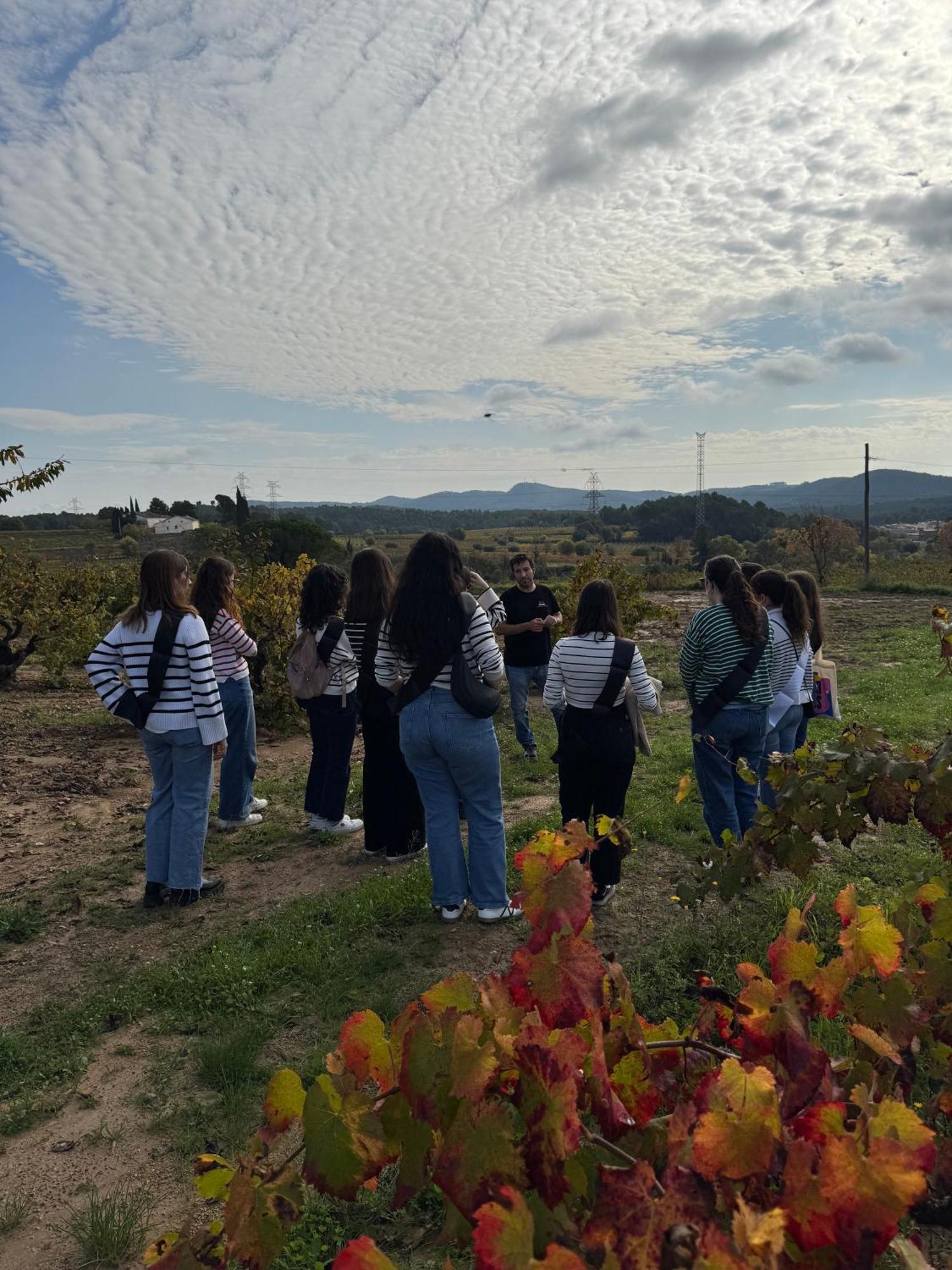 Casa Rural Cal Marti El Pla de Manlleu 외부 사진