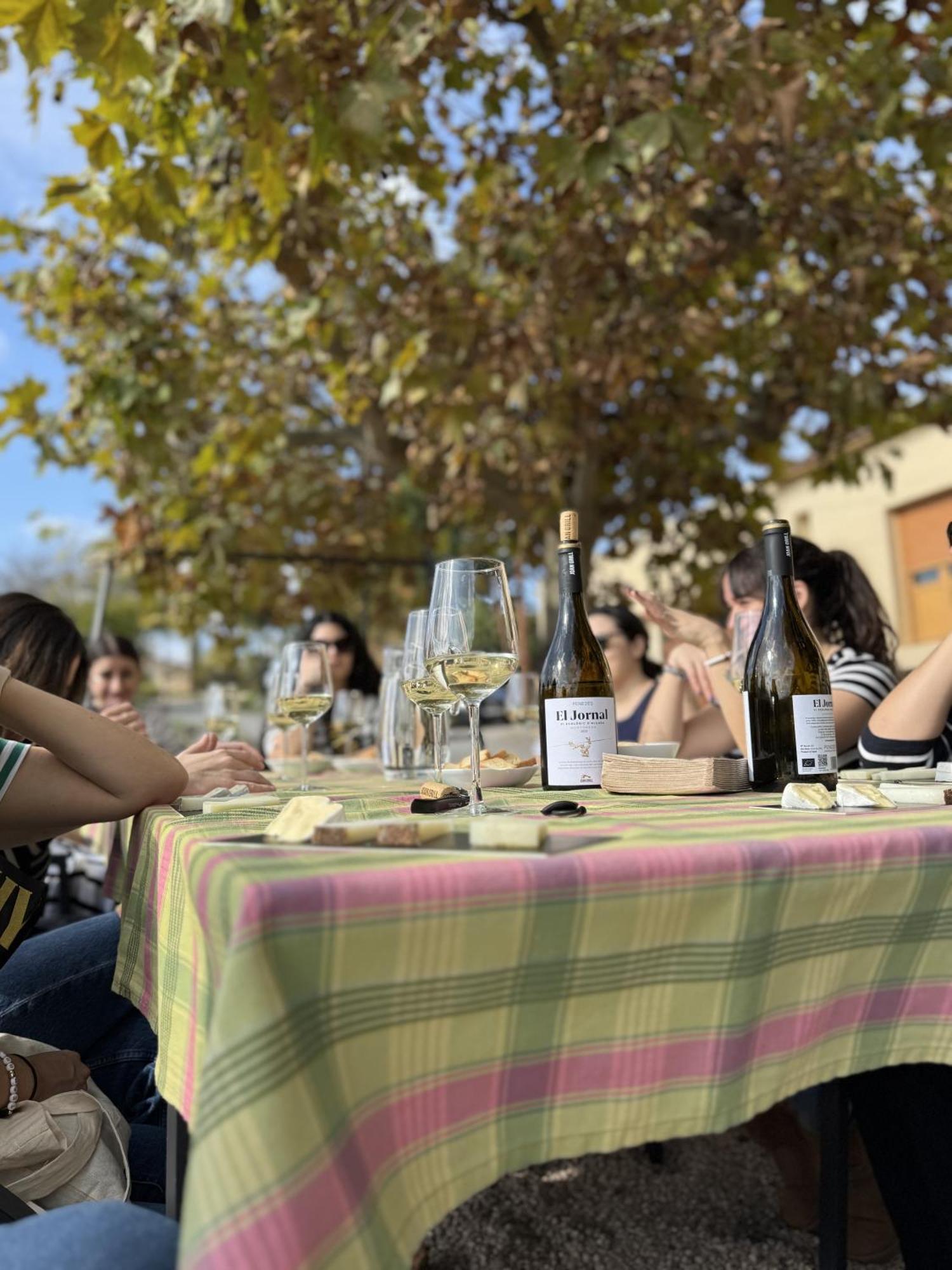 Casa Rural Cal Marti El Pla de Manlleu 외부 사진